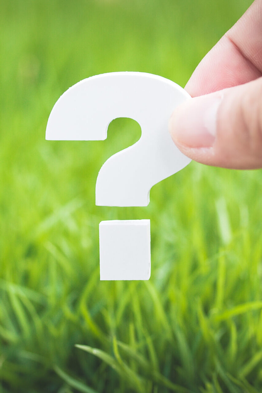 Hand Holding A White Question Mark Above Green Grass Symbolizing Uncertainty And Decision Making Hand Holding A White Question Mark Above Green Grass Symbolizing Uncertainty And Decision Making